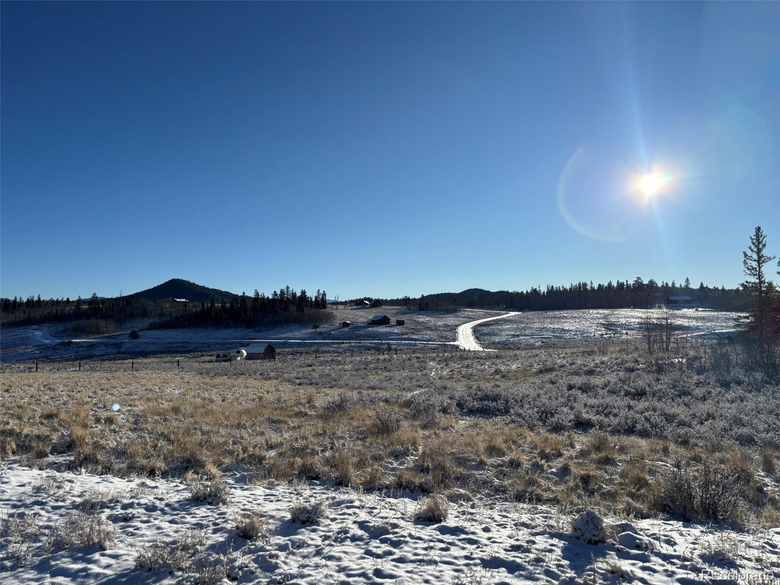 769 Mockingbird Circle Como, CO 80432 - Photo 12 of 18 a view of a big yard with a forest