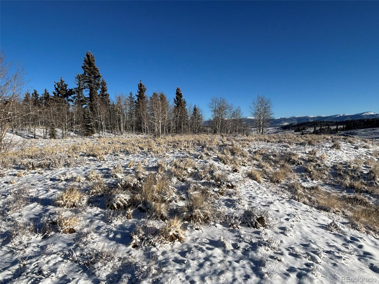 769 Mockingbird Circle Como, CO 80432 - Photo 7 of 18 a view of a covered with snow in the background