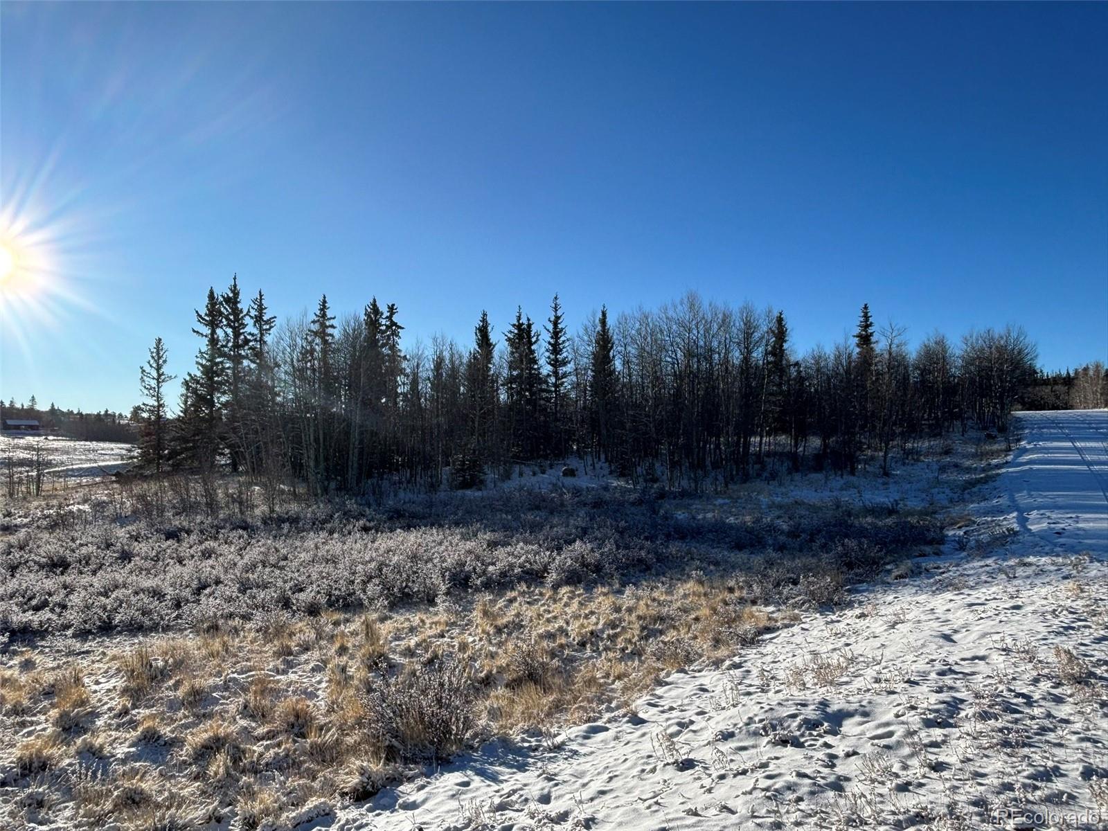 769 Mockingbird Circle Como, CO 80432 - Photo 8 of 18 a view of a yard