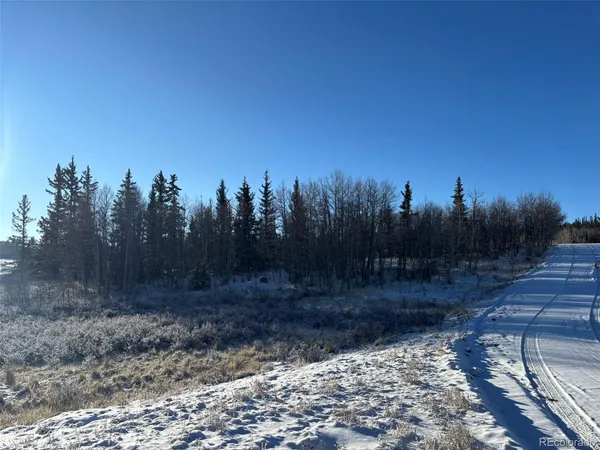 a view of a backyard with a barbeque
