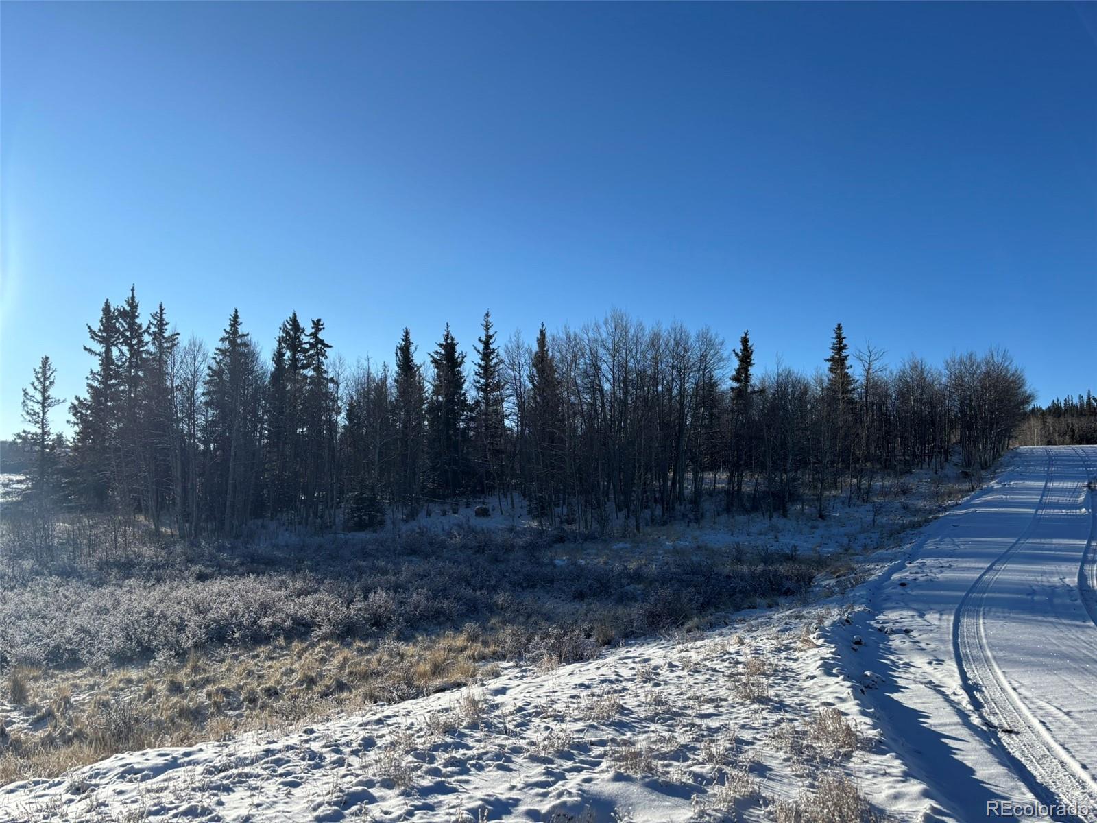 769 Mockingbird Circle Como, CO 80432 - Photo 9 of 18 a view of a yard with a tree in the background