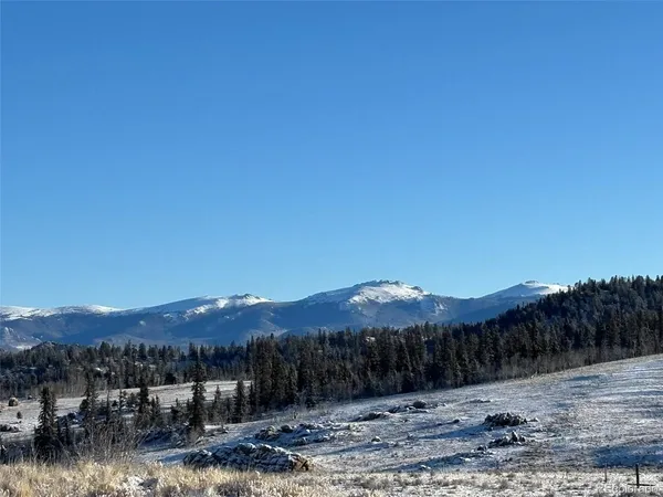 a view of a dry yard with trees