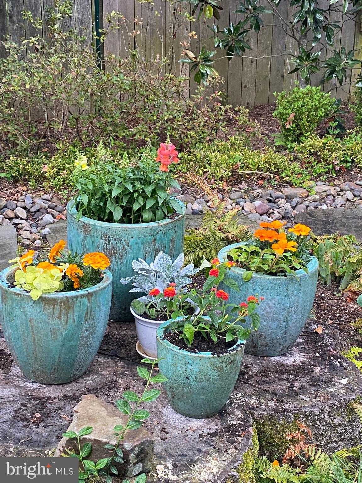 5608 Warwick Place Chevy Chase, MD 20815 - Photo 53 of 57 Spring time photo