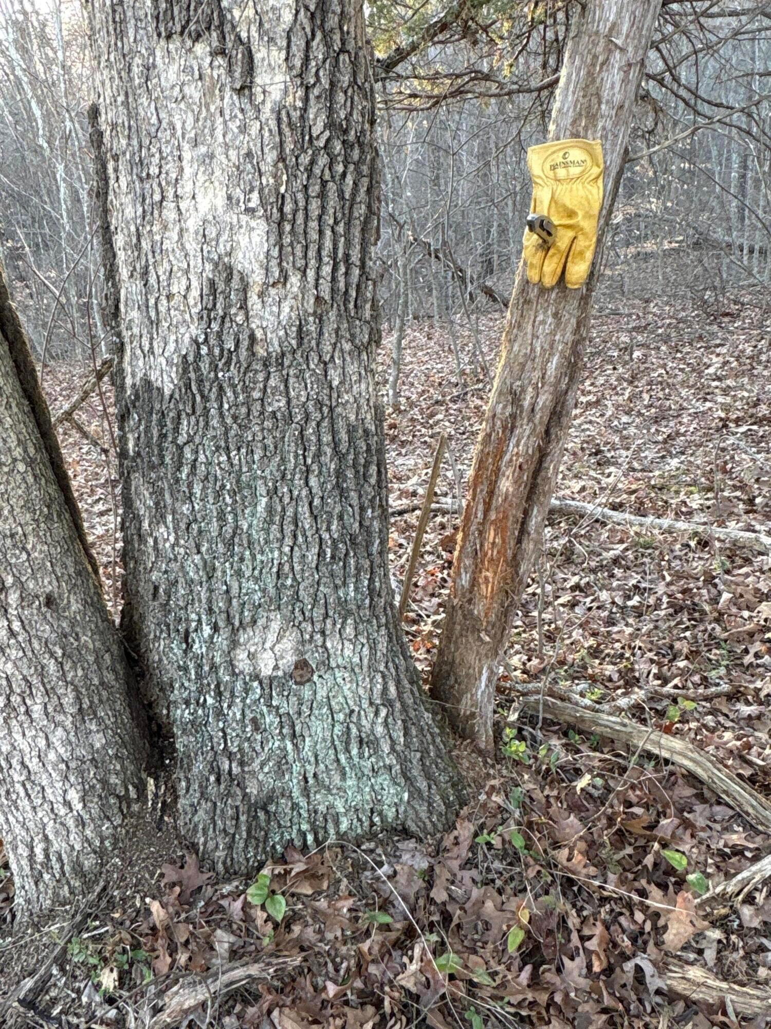 0 Millers Run-Fallen Timber Road Lucasville, OH 45648 - Photo 20 of 24 IMG_2391