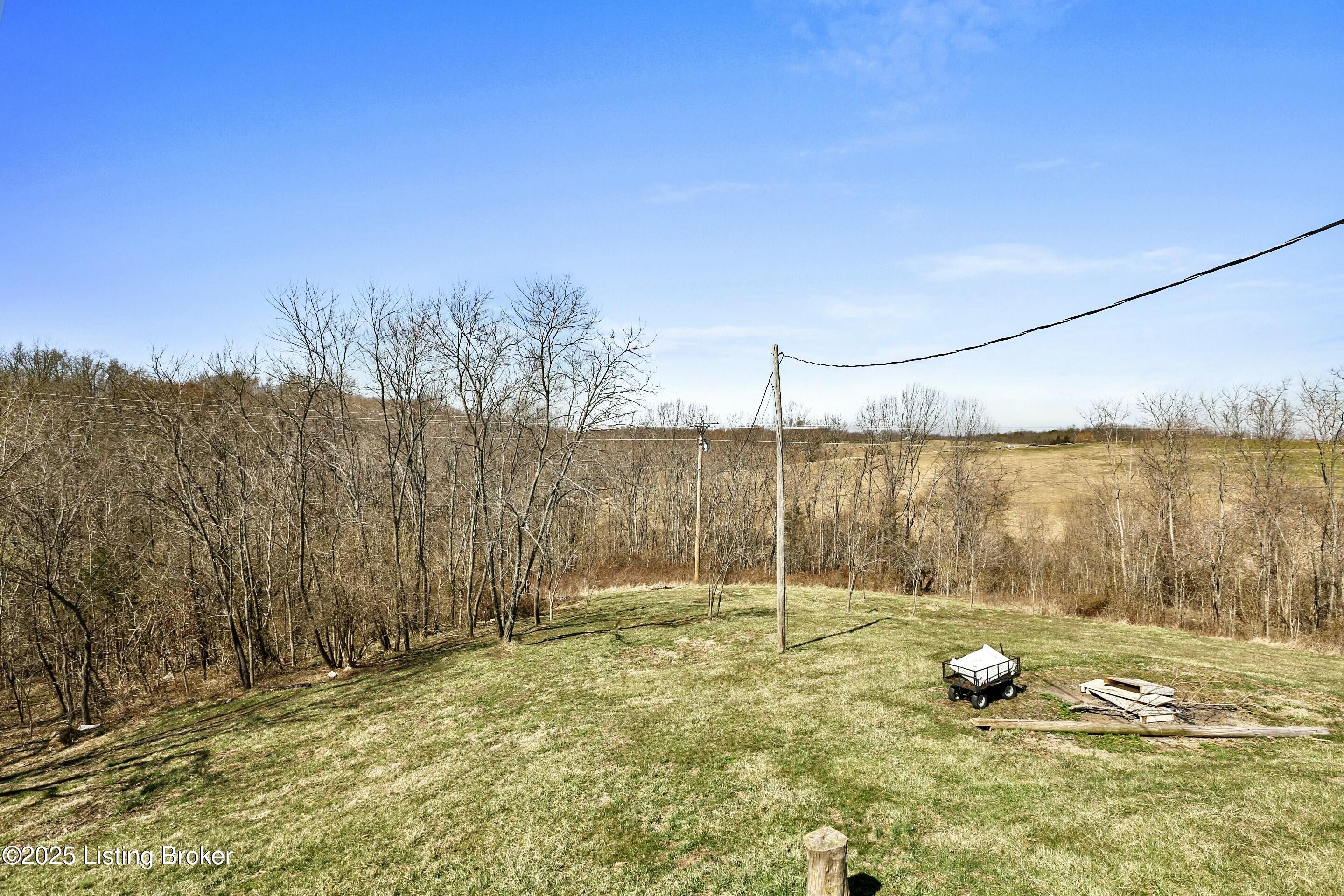 4112 Bardstown Road Lawrenceburg, KY 40342 - Photo 25 of 28 Back Yard