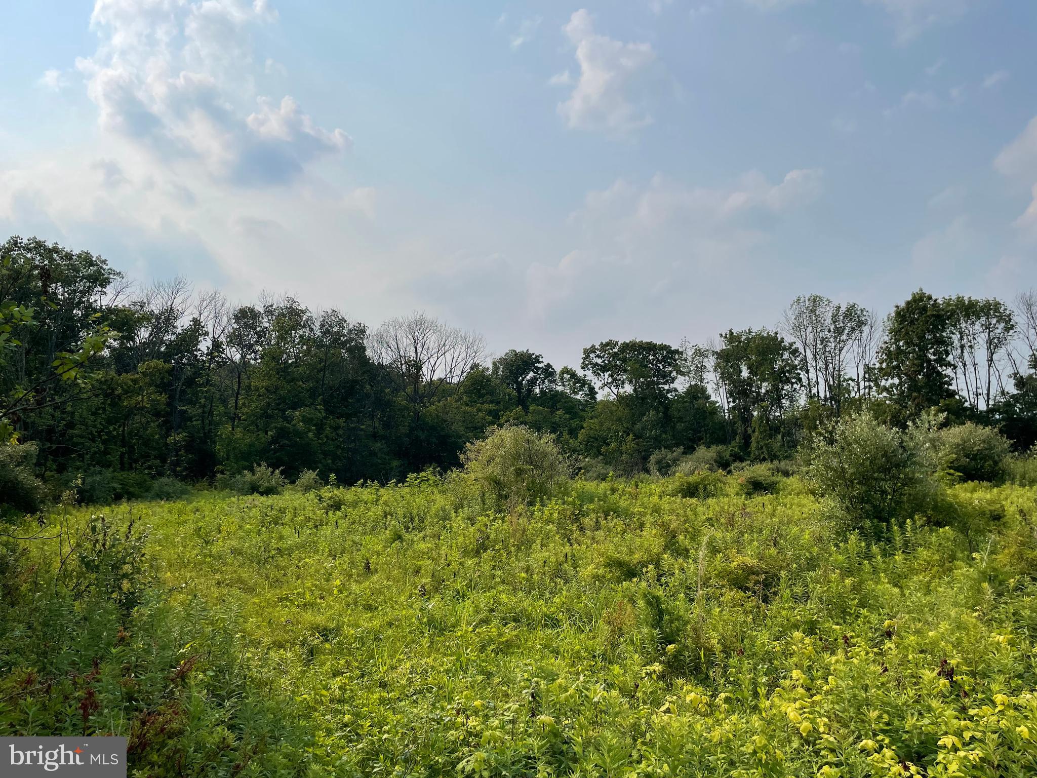 1484 Layfield Road Pennsburg, PA 18073 - Photo 1 of 3 Gallery Image 1