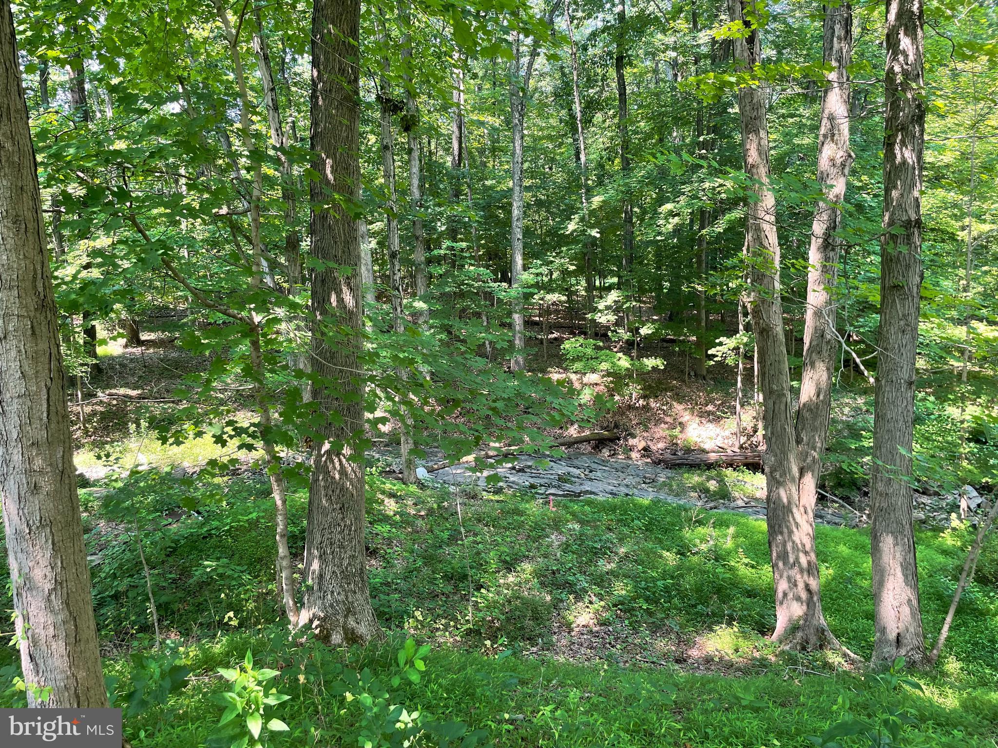 1484 Layfield Road Pennsburg, PA 18073 - Photo 2 of 3 Gallery Image 2