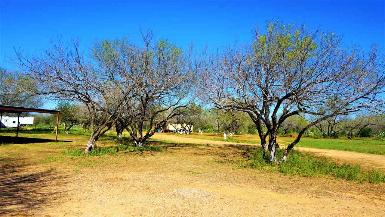 264 Los Huisaches Road Laredo, TX 78045 - Photo 13 of 13 a view of yard with swimming pool and green space