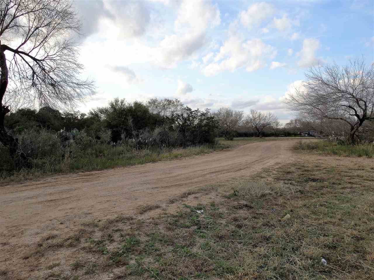 264 Los Huisaches Road Laredo, TX 78045 - Photo 3 of 13 a view of a field with trees