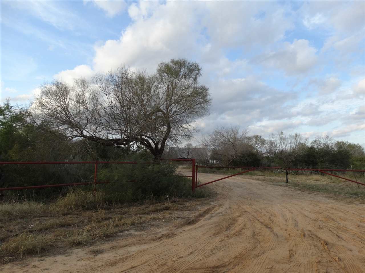 264 Los Huisaches Road Laredo, TX 78045 - Photo 4 of 13 a view of a backyard