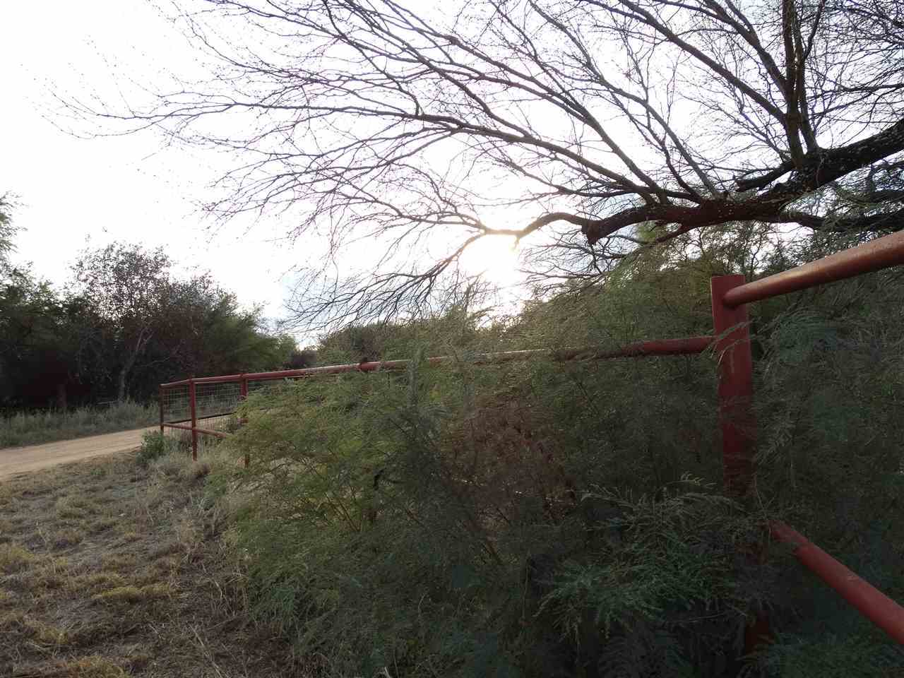 264 Los Huisaches Road Laredo, TX 78045 - Photo 5 of 13 a view of a yard with a tree