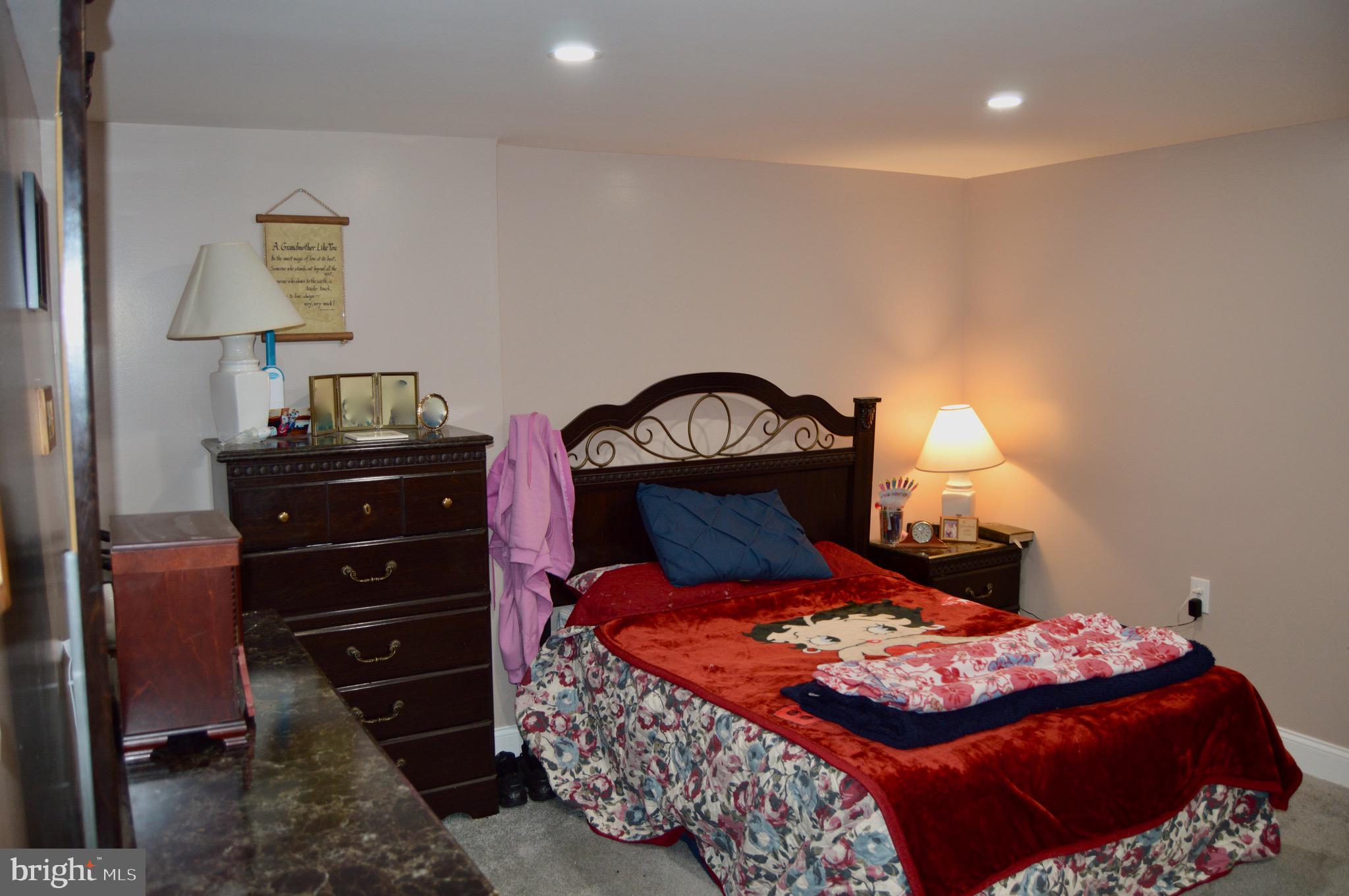 10217 Calera Road Philadelphia, PA 19114 - Photo 31 of 37 Basement Flex Room
