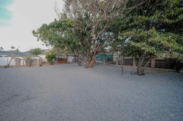 a view of a street with trees and wooden fence