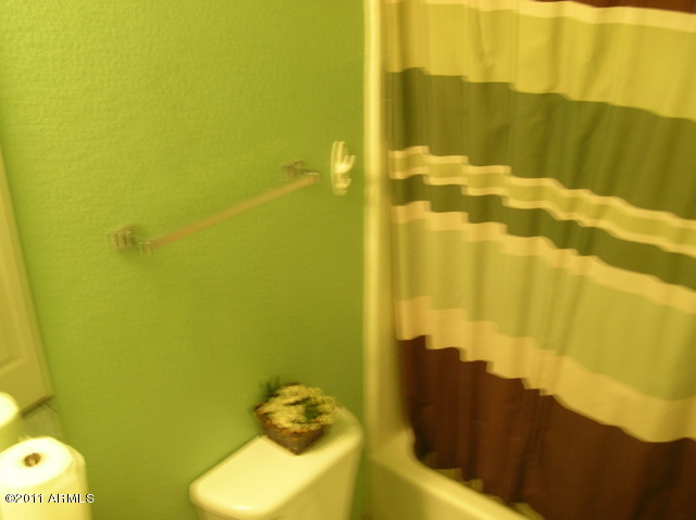 170 South Picacho Heights Road Eloy, AZ 85131 - Photo 12 of 23 Hall Bathtub