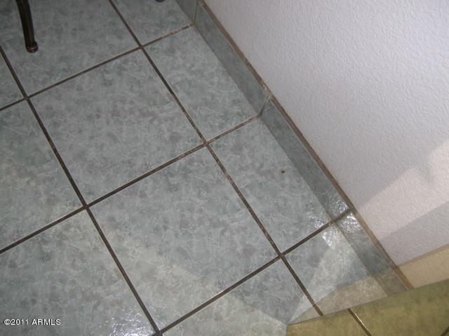 170 South Picacho Heights Road Eloy, AZ 85131 - Photo 7 of 23 Tile