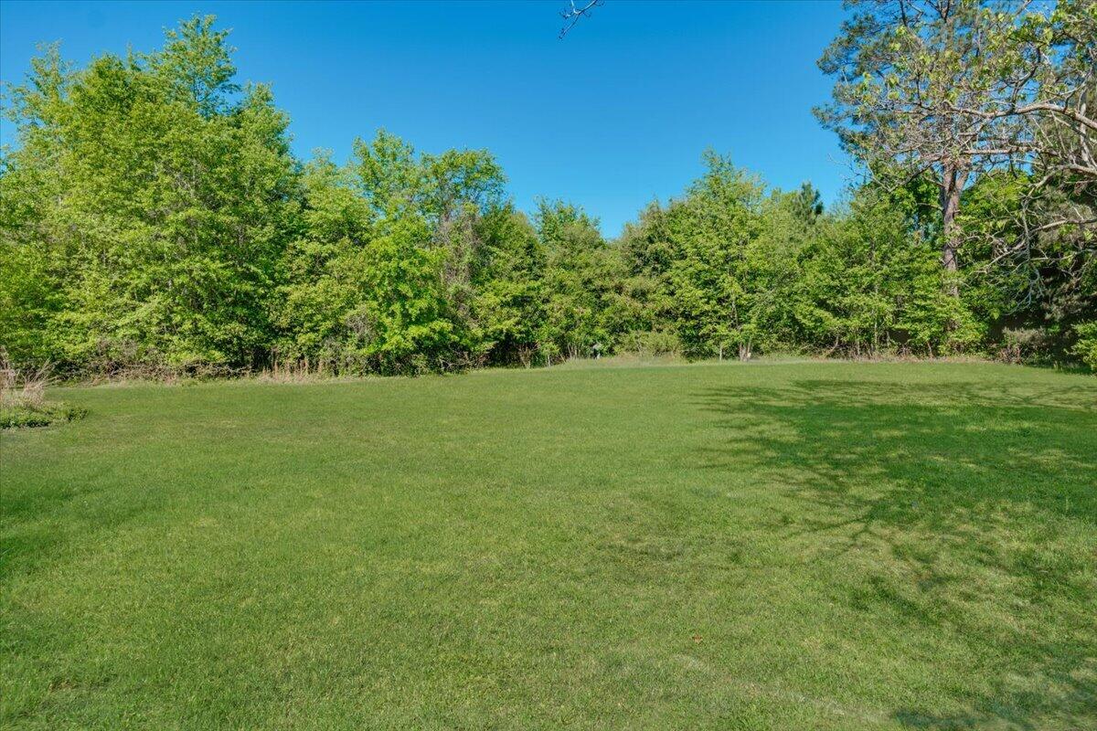 2931 Reynolds Road Blackville, SC 29817 - Photo 9 of 25 06-Reynolds Rd-6