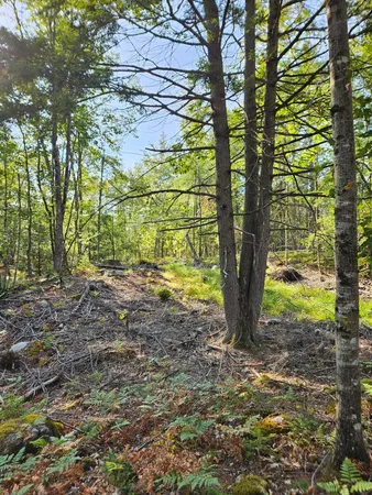 $48,888 | Lot A Serenity Lane, Oxford, ME 04270