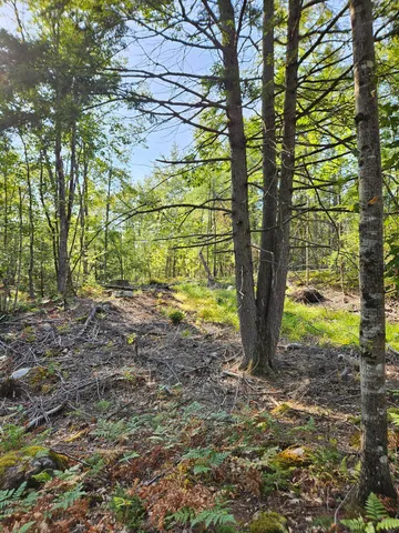 $48,888 | Lot A Serenity Lane, Oxford, ME 04270