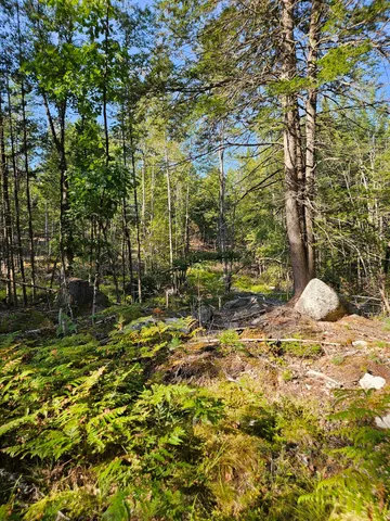 $48,888 | Lot A Serenity Lane, Oxford, ME 04270