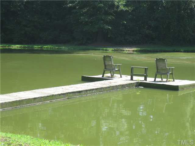 1360 Glendale Road Kenly, NC 27542 - Photo 19 of 25 Waterfront/Dock/Pier
