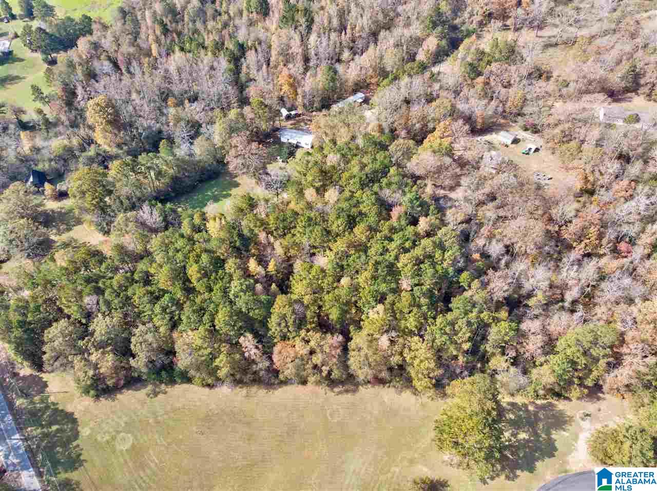 2865 Warrior Jasper Road Warrior, AL 35180 - Photo 29 of 31