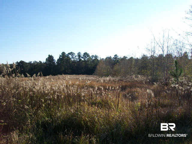 2 Dawes Road Grand Bay, AL 36541 - Photo 7 of 7