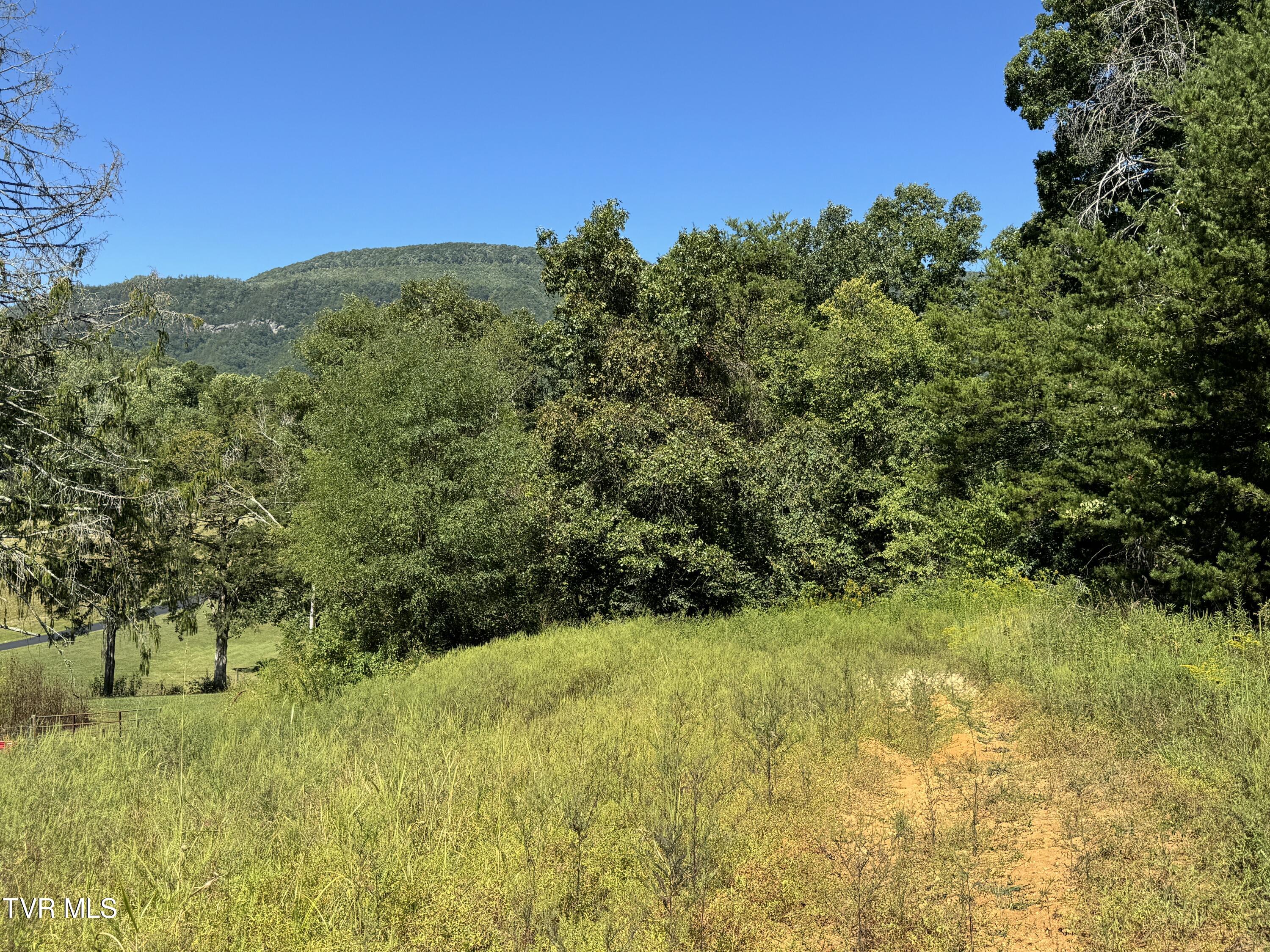 Lot 9 McGaha Chapel Road, Unit 9 Newport, TN 37821 - Photo 8 of 13 8