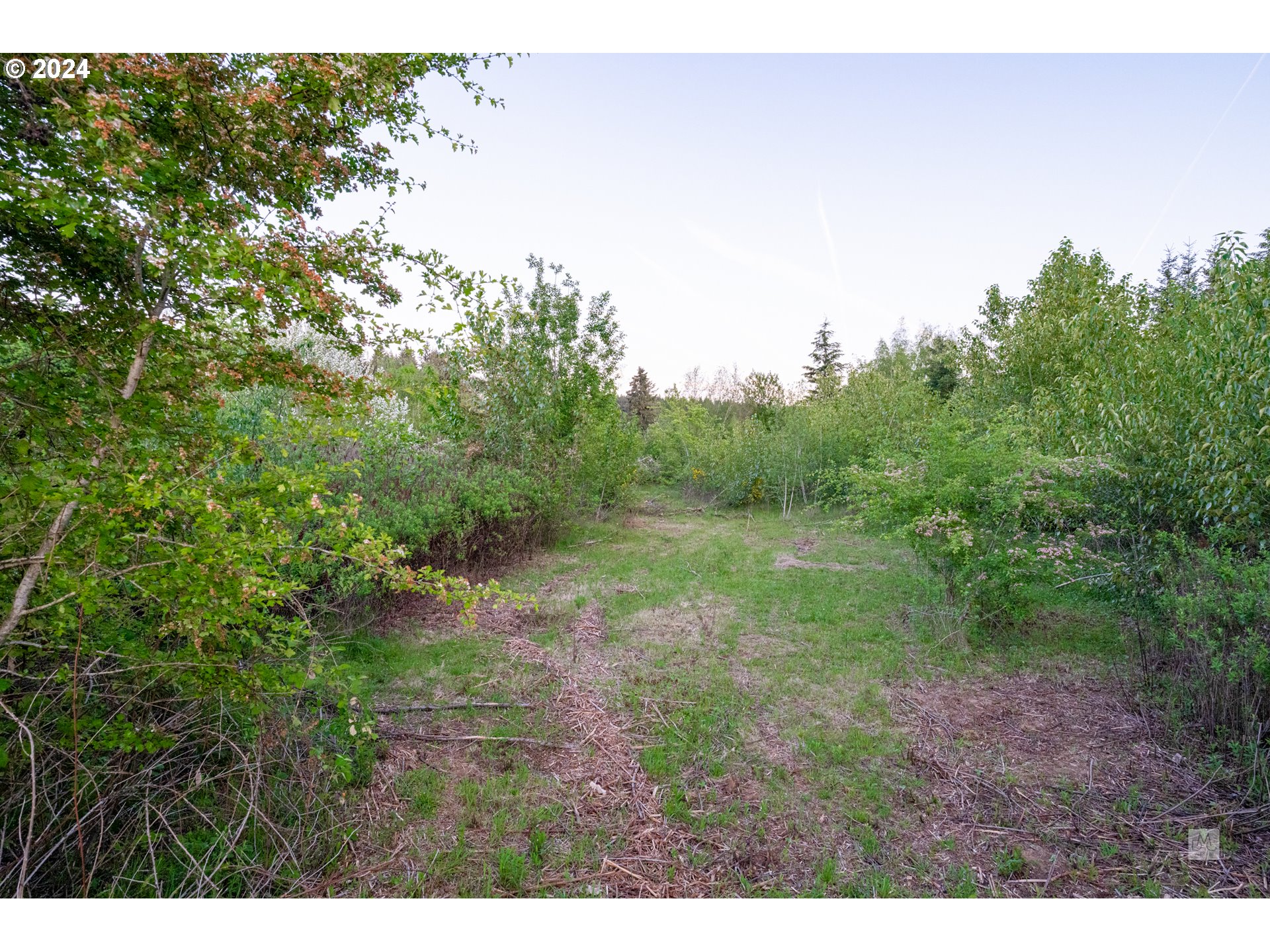 31262 Southeast Kelso Road Boring, OR 97009 - Photo 44 of 48 a view of a yard with a tree
