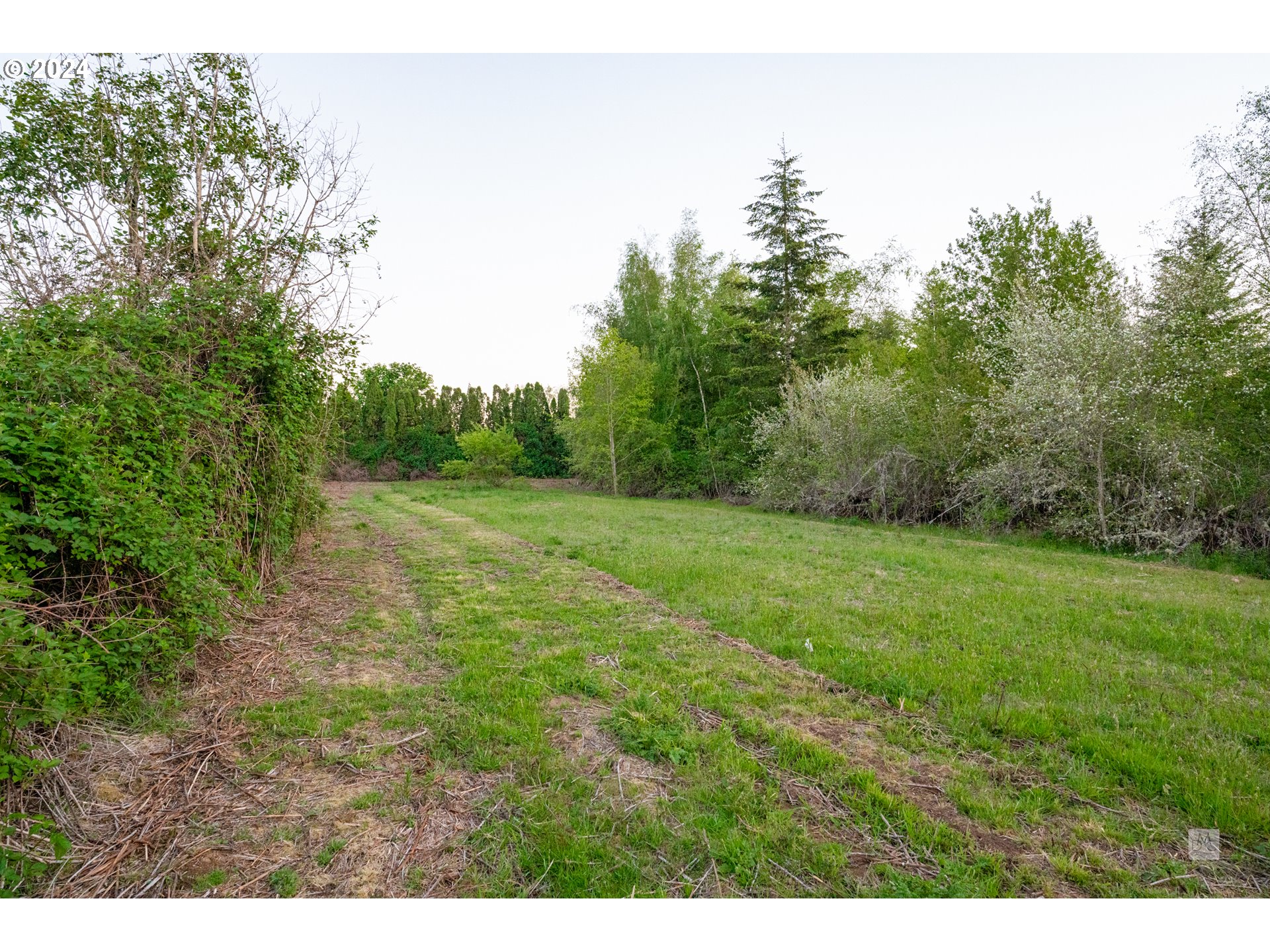 31262 Southeast Kelso Road Boring, OR 97009 - Photo 45 of 48 a view of a big yard with lots of green space