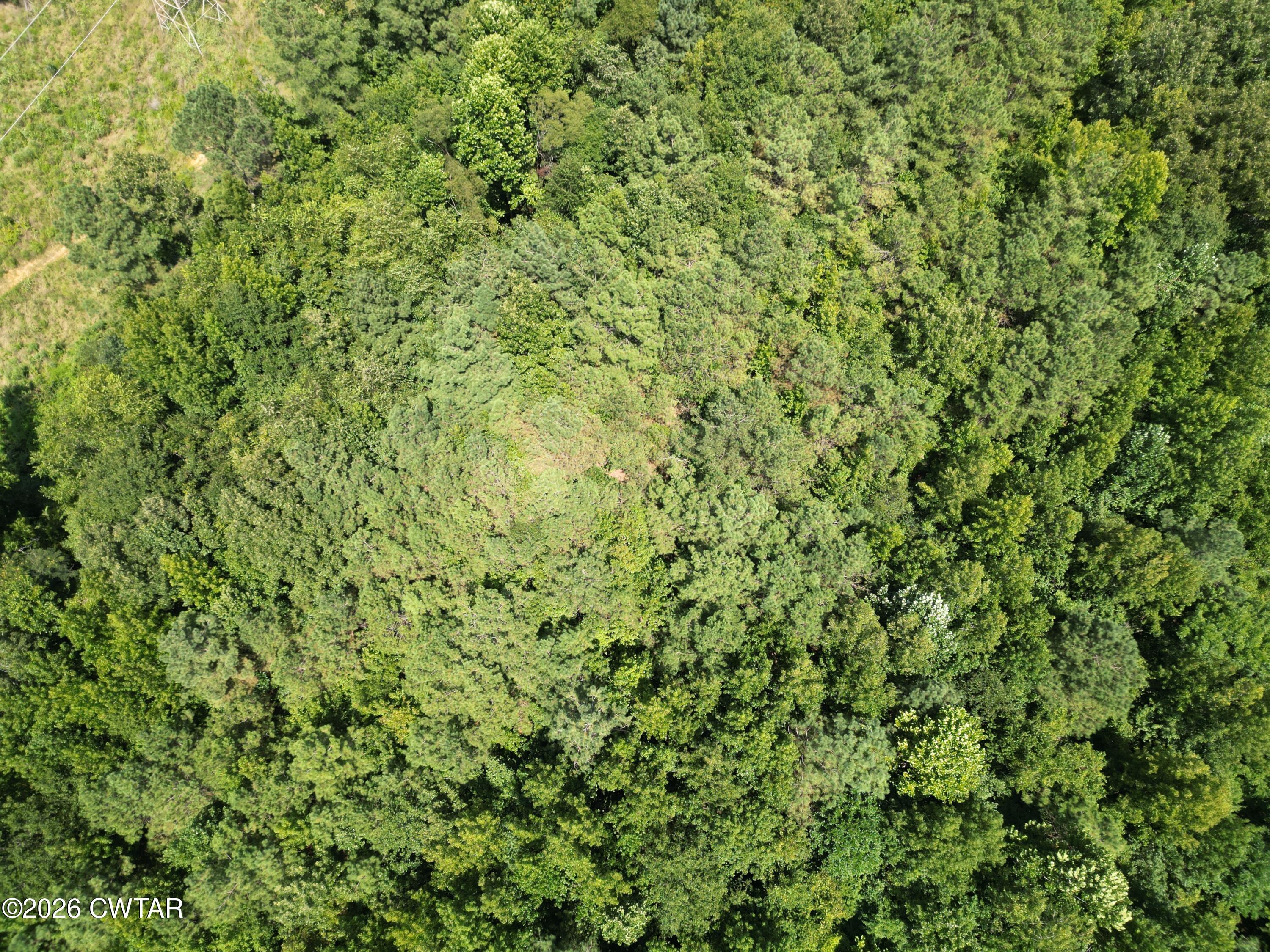 0 McAbee Road Jackson, TN 38301 - Photo 10 of 15 DJI_0633
