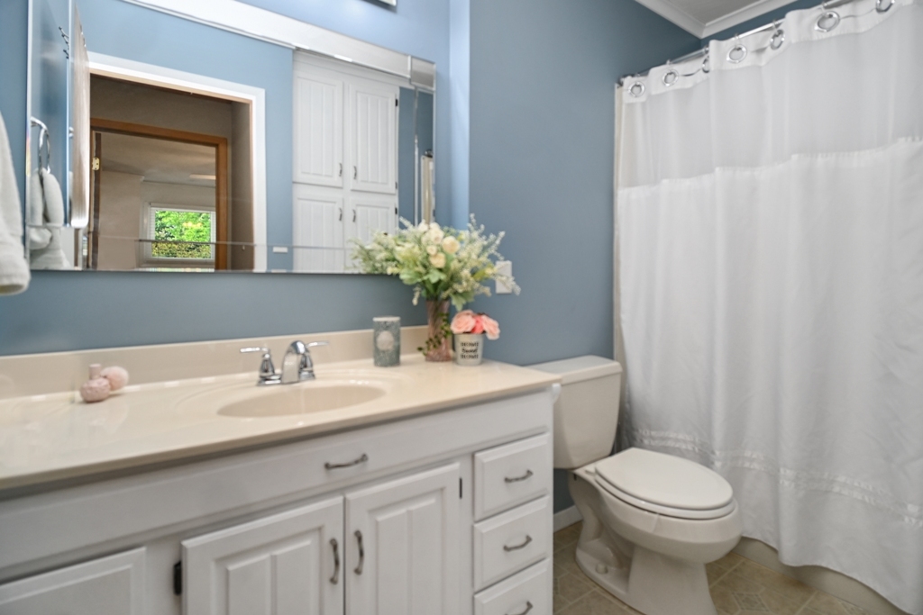 501 Carriage Hills Road Normal, IL 61761 - Photo 46 of 77 a bathroom with a sink a toilet and a mirror
