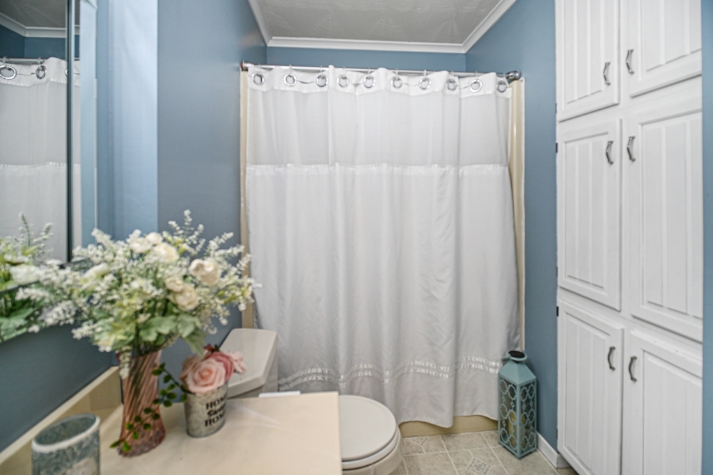 501 Carriage Hills Road Normal, IL 61761 - Photo 47 of 77 a bathroom with a sink toilet and shower