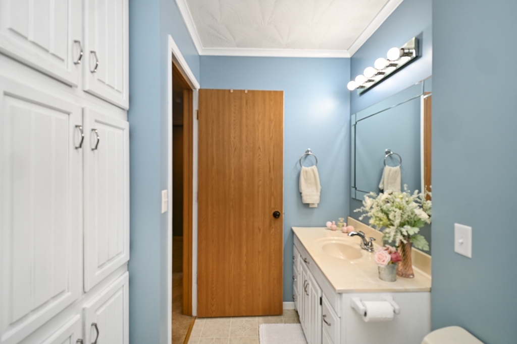 501 Carriage Hills Road Normal, IL 61761 - Photo 48 of 77 a bathroom with a sink a toilet and shower