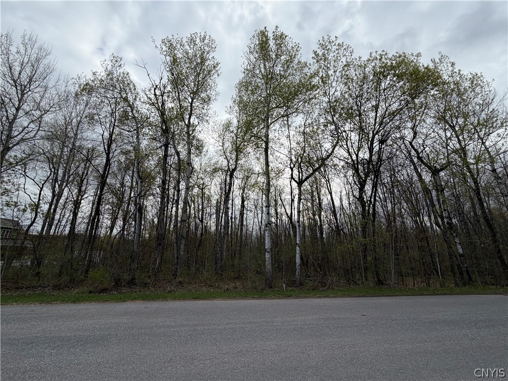 0 Farney Pit Road Carthage, NY 13619 - Photo 1 of 7