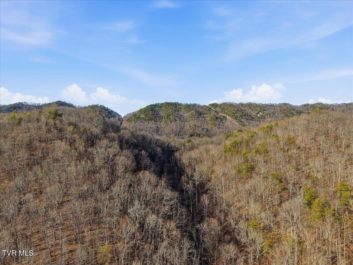 313 Rogers Road Rogersville, TN 37857 - Photo 28 of 37 33-313 Rogers Rd-28