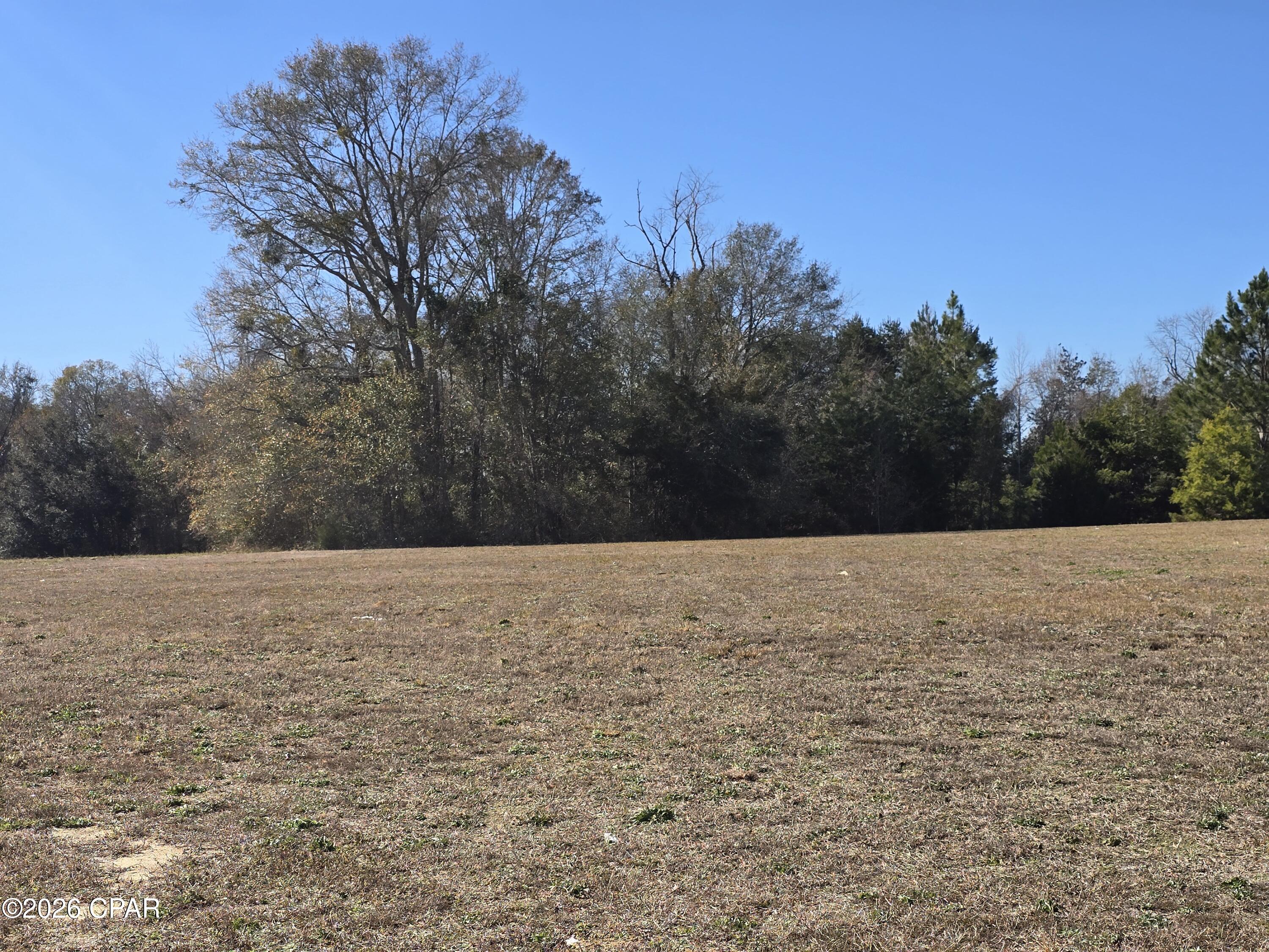 4419 Russ Road Cottondale, FL 32431 - Photo 26 of 32