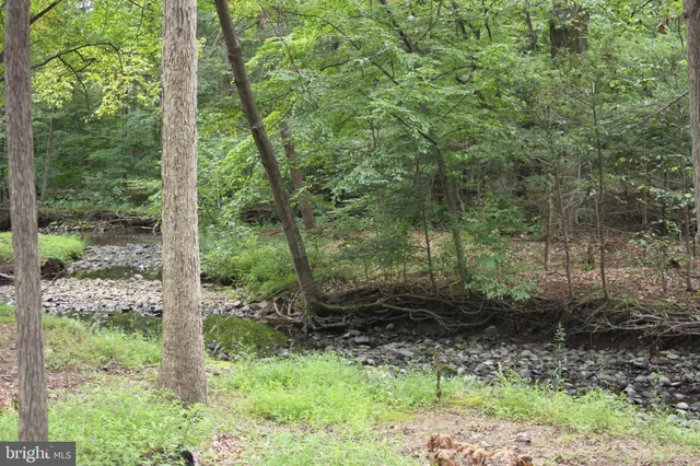 a view of a yard with large trees