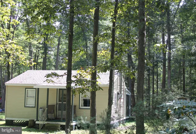 a view of a house with a tree in front of it