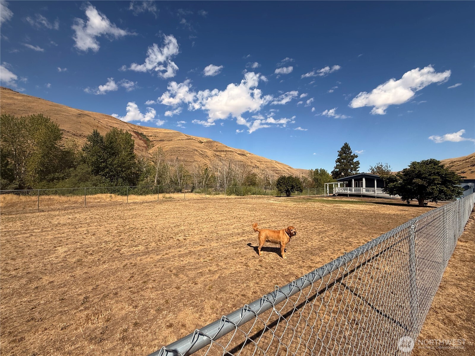 1934 Tucannon Road Pomeroy, WA 99347 - Photo 38 of 40 a view of a backyard of a house with a yard