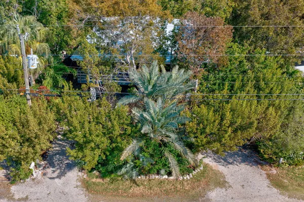 a view of a garden with plants