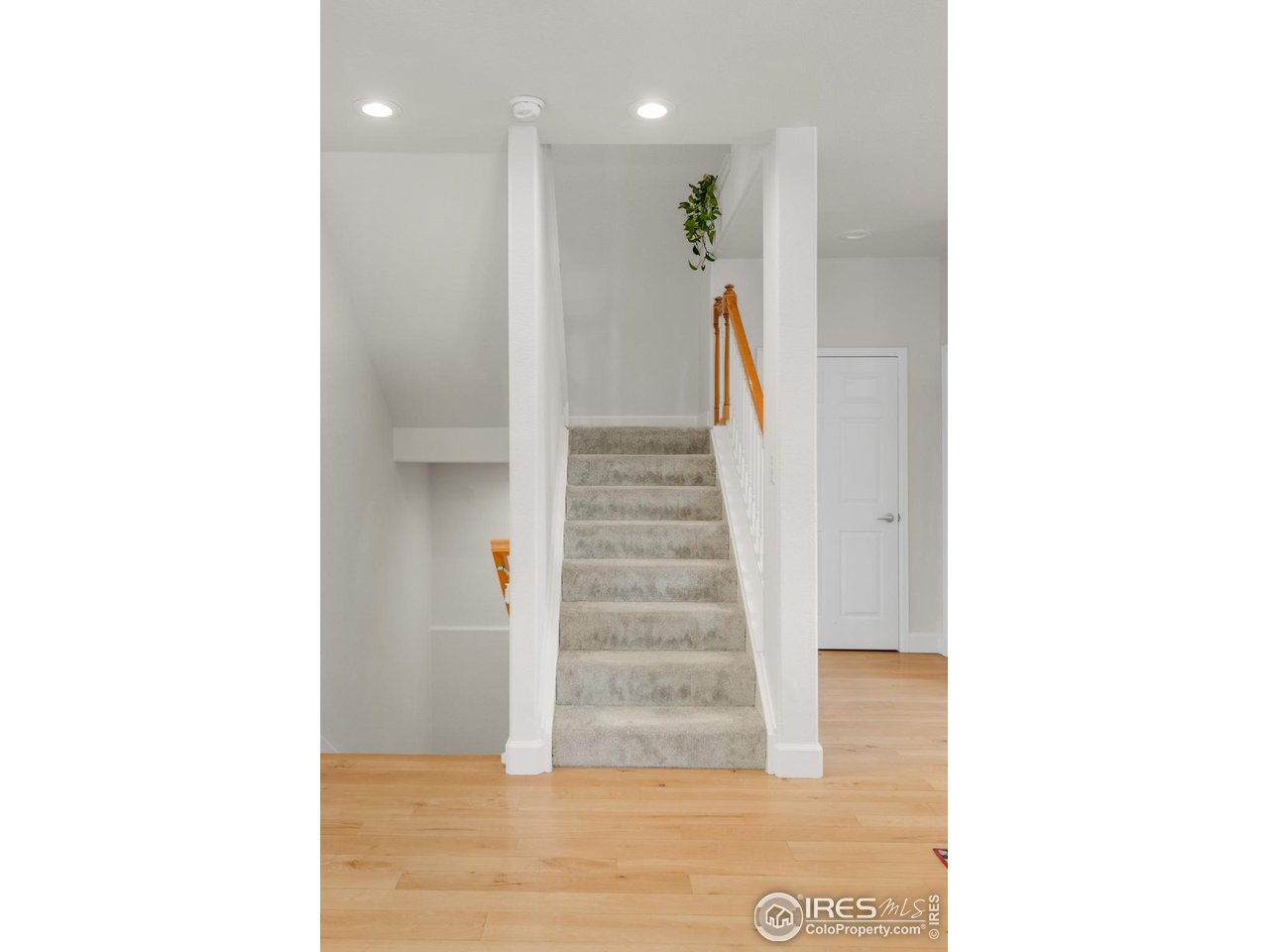 4232 Riley Drive Longmont, CO 80503 - Photo 18 of 35 a view of a hallway with stairs