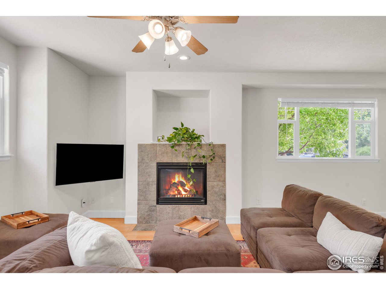 4232 Riley Drive Longmont, CO 80503 - Photo 5 of 35 a living room with furniture and a flat screen tv