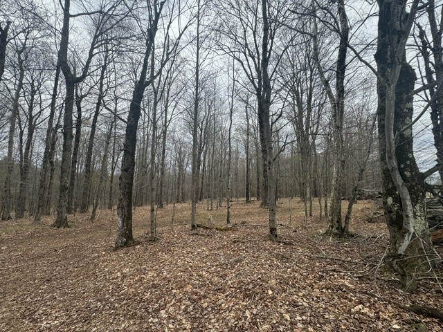 Lot 4 Shaver Hill Road Meridale, NY 13806 - Photo 12 of 44