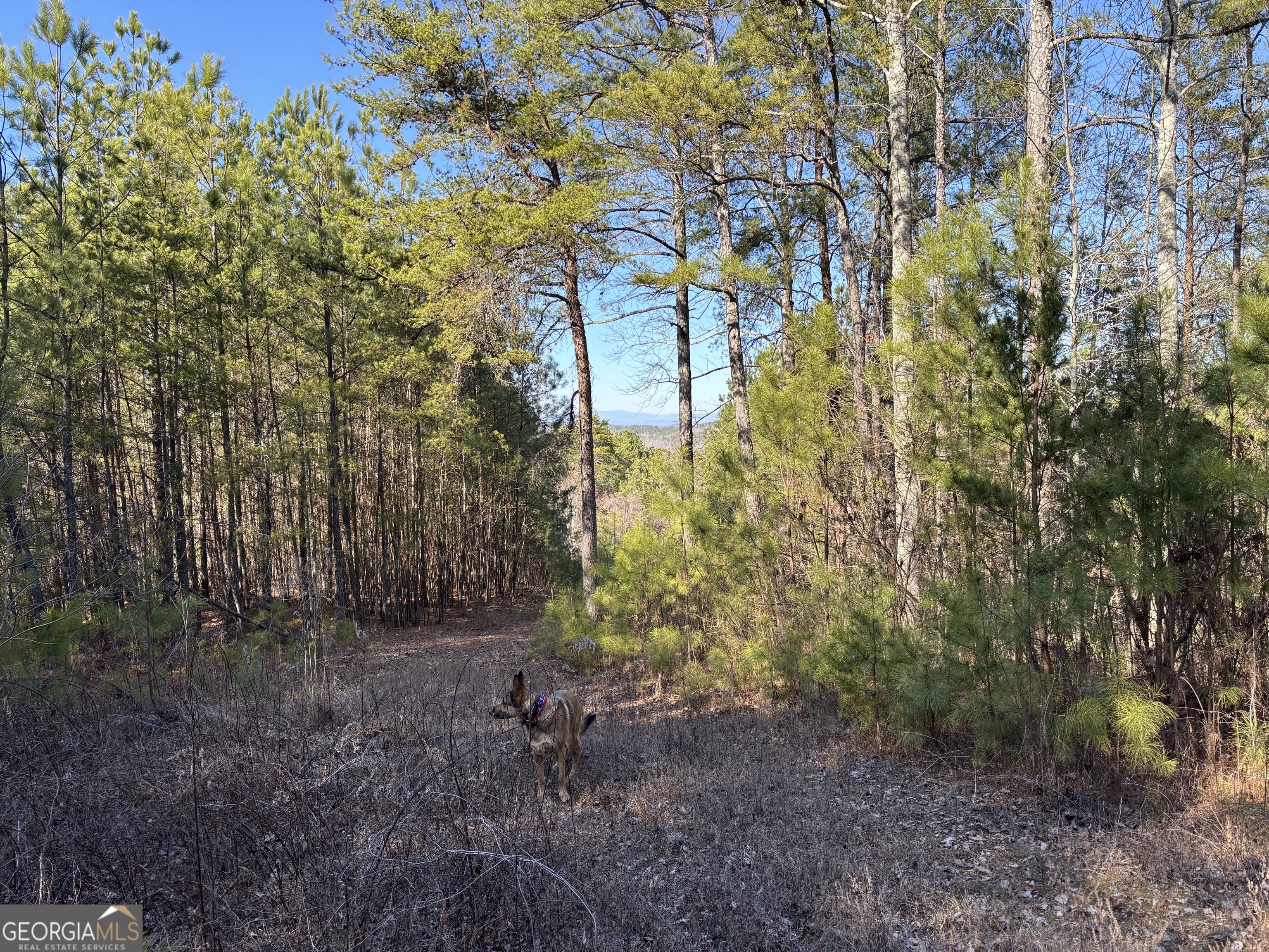 6-west Dry Pond Road, Unit LOT #6 WEST Ranger, GA 30734 - Photo 18 of 19 a backyard of a house
