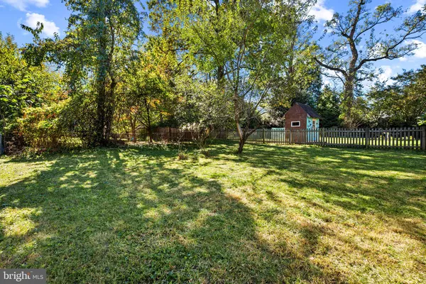 a view of a tree in a yard