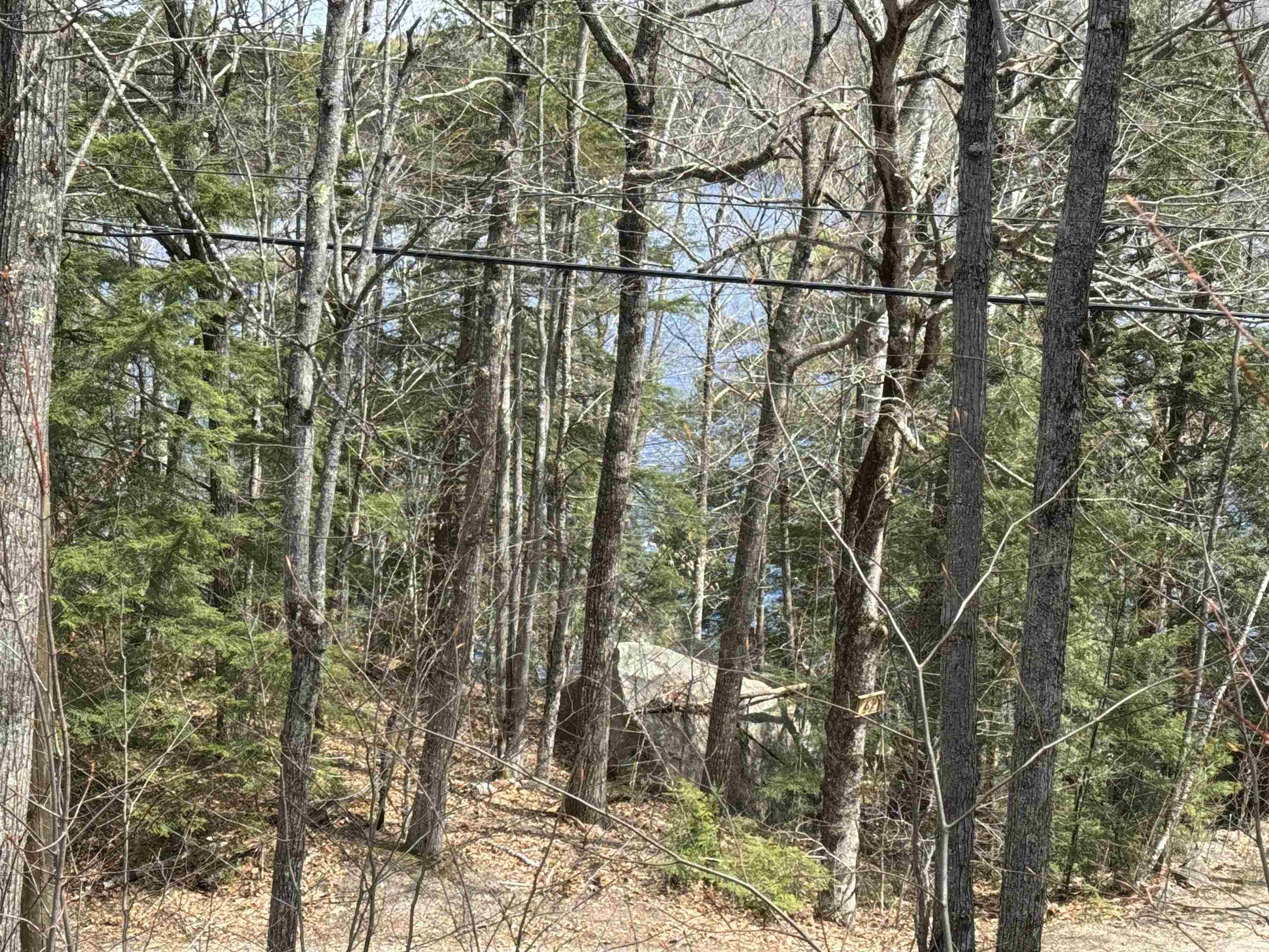 61 Bayle Mountain Road Ossipee, NH 03814 - Photo 41 of 50