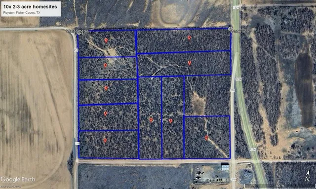 a view of a wooden door with a tree