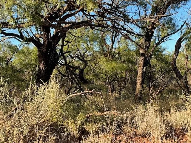 a backyard of a house with a yard and sitting area