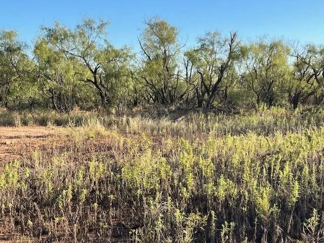 a view of lake with green space