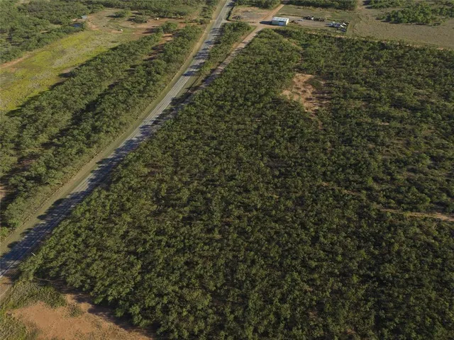 a view of a yard with plants and wooden bench